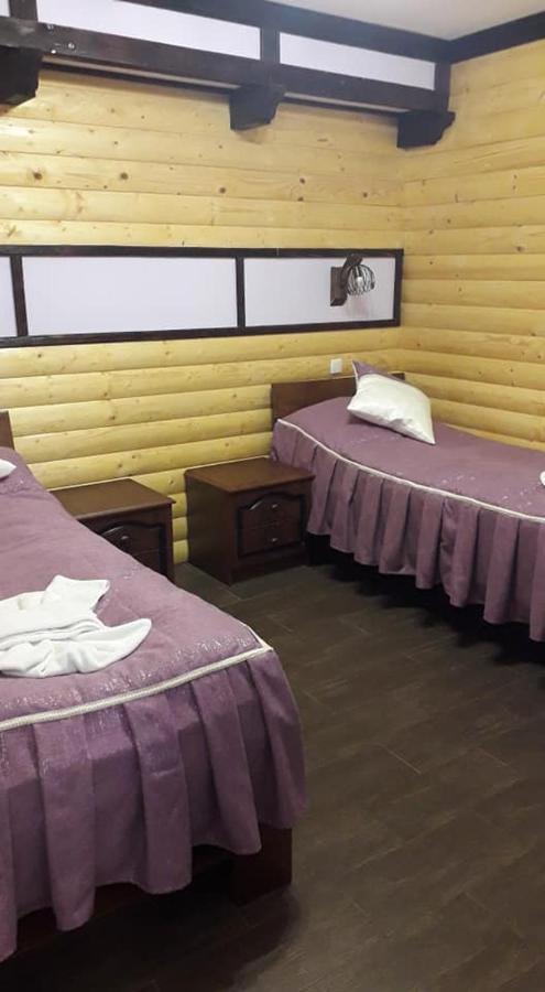 Mishyn-City Hotel Dobrovlyany エクステリア 写真