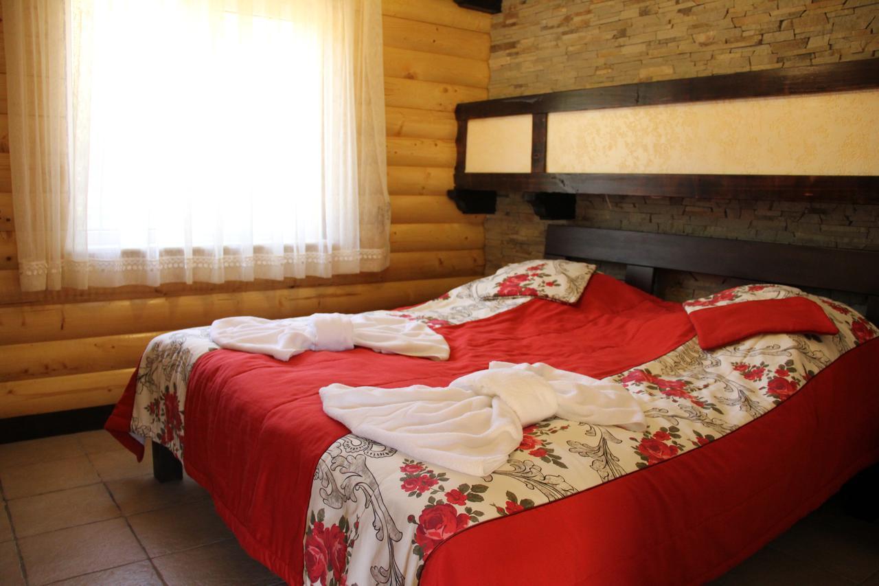 Mishyn-City Hotel Dobrovlyany エクステリア 写真
